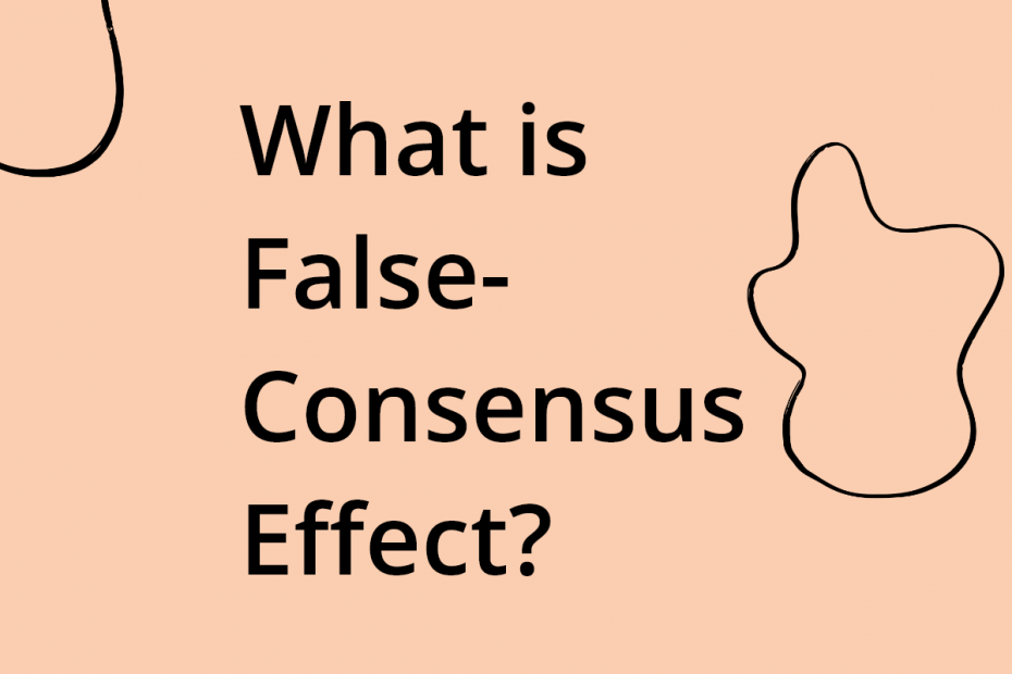 What is false consensus effect?